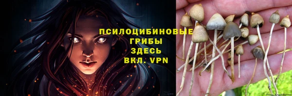 бошки Белоозёрский