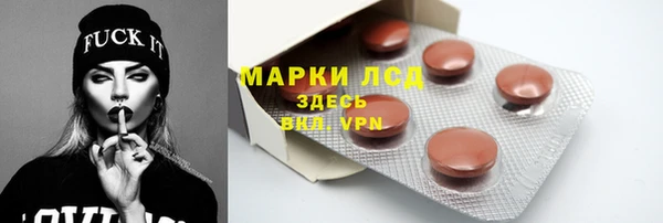 ECSTASY Белокуриха
