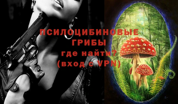 ECSTASY Белокуриха